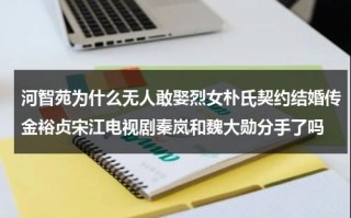 河智苑为什么无人敢娶烈女朴氏契约结婚传金裕贞宋江电视剧秦岚和魏大勋分手了吗（河智苑主演的韩剧美丽人生电视剧免费观看）