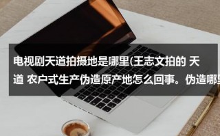 电视剧天道拍摄地是哪里(王志文拍的 天道 农户式生产伪造原产地怎么回事。伪造哪里产地了)（天道电视剧王志文版）