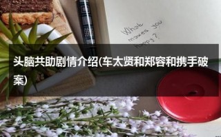 头脑共助剧情介绍(车太贤和郑容和携手破案)（头脑的意思是比喻什么）