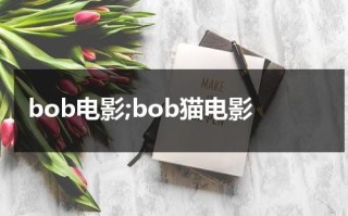 bob电影;bob猫电影