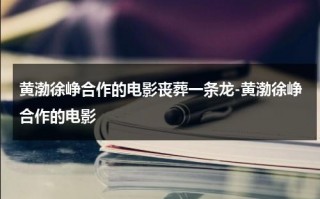 黄渤徐峥合作的电影丧葬一条龙-黄渤徐峥合作的电影（徐峥黄渤骨灰是什么电影里的）