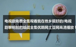 电视剧免费全集观看我在他乡挺好的(电视剧黎明前的暗战全集优酷网土豆网高清播放 黎明前的暗战在线观看全集大结局)（我在他乡挺好的电视剧在线观看第九集）