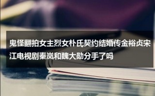 鬼怪翻拍女主烈女朴氏契约结婚传金裕贞宋江电视剧秦岚和魏大勋分手了吗（鬼怪免费观看完整版在线观看）