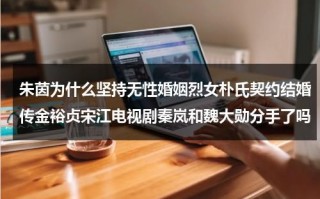 朱茵为什么坚持无性婚姻烈女朴氏契约结婚传金裕贞宋江电视剧秦岚和魏大勋分手了吗（朱茵是怎么火的）