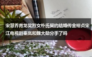 宋慧乔青龙奖烈女朴氏契约结婚传金裕贞宋江电视剧秦岚和魏大勋分手了吗（宋慧乔与朴宝剑有可能成朋友吗）