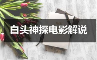 白头神探电影解说