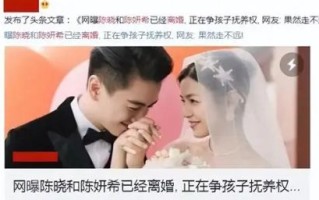 陈晓回应离婚传闻，揭露与陈妍希婚姻内幕：对不起，让大家失望了