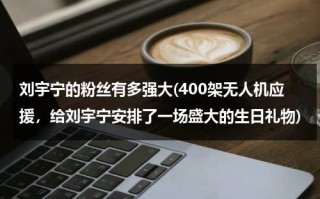 刘宇宁的粉丝有多强大(400架无人机应援，给刘宇宁安排了一场盛大的生日礼物)（刘宇宁有多少粉丝?）