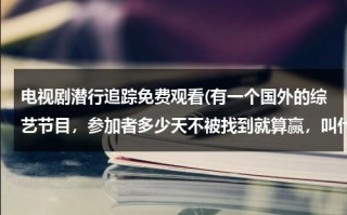 电视剧潜行追踪免费观看(有一个国外的综艺节目，参加者多少天不被找到就算赢，叫什么)