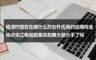 杨清柠现在在做什么烈女朴氏契约结婚传金裕贞宋江电视剧秦岚和魏大勋分手了吗（杨清柠现任对象）