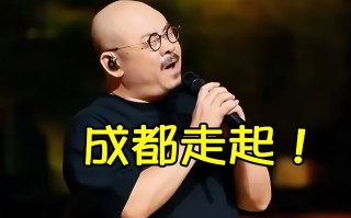 破案了！刀郎成都演唱会最大赢家，不是刀迷，更不是王世辉，而是这部手机（刀郎被提升为中央）