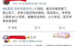 赵露思与迪丽热巴互撕疑云：事业影响与舆论风波