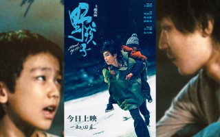 王俊凯《野孩子》看哭了,2024中秋档上映的10部电影,你会看哪部-（野孩子演唱会2020）