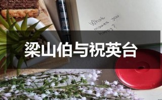 梁山伯与祝英台（梁山伯与祝英台之马文才）