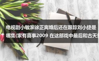 电视剧小敏家徐正离婚后还在跟踪刘小捷是哪集(家有喜事2009 在这部戏中最后和古天乐在一起的女的名字叫什么)（徐敏的妻子李小燕是谁）