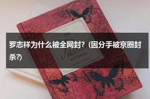 罗志祥为什么被全网封？(因分手被京圈封杀?)（罗志祥为什么要道歉）-第1张图片-九妖电影