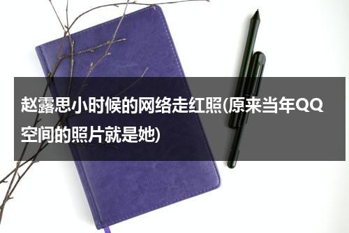 赵露思小时候的网络走红照(原来当年QQ空间的照片就是她)（赵露思从小都那么白吗）-第1张图片-九妖电影