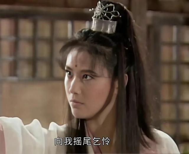 1994版倚天屠龙记：只顾吐槽叶童的赵敏太丑，忽略了其他11位美女（叶童版倚天屠龙）-第7张图片-九妖电影