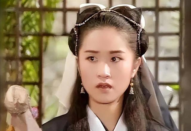 1994版倚天屠龙记：只顾吐槽叶童的赵敏太丑，忽略了其他11位美女（叶童版倚天屠龙）-第29张图片-九妖电影