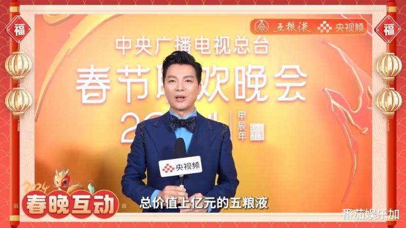 2024央视春晚豪华主持阵容曝光，朱迅王嘉宁消失，杨帆被重用（202年春晚主持人是谁）-第4张图片-九妖电影