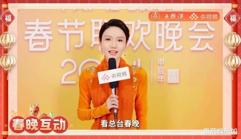 2024央视春晚豪华主持阵容曝光，朱迅王嘉宁消失，杨帆被重用（202年春晚主持人是谁）-第6张图片-九妖电影