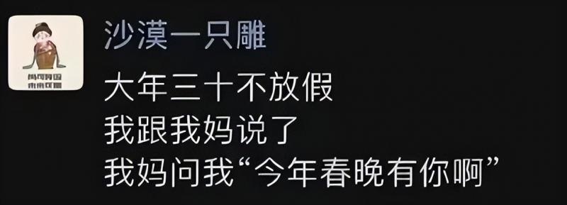 2024年春晚节目“流出”，网友：没看头了（2024年春晚主持人）-第3张图片-九妖电影