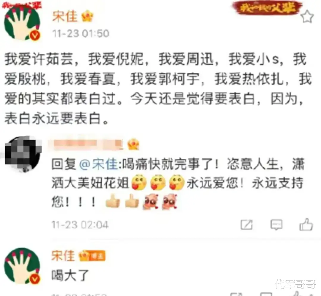 44岁的宋佳，终于为自己的“风流”付出了代价（宋佳腾）-第2张图片-九妖电影