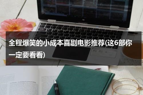 全程爆笑的小成本喜剧电影推荐(这6部你一定要看看)（小型喜剧剧本推荐）-第1张图片-九妖电影