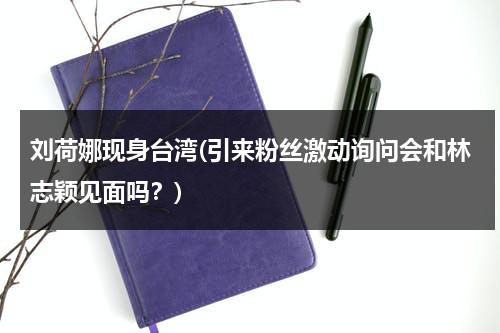 刘荷娜现身台湾(引来粉丝激动询问会和林志颖见面吗？)（林志颖刘荷娜为什么没在一起）-第1张图片-九妖电影