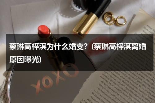 蔡琳高梓淇为什么婚变？(蔡琳高梓淇离婚原因曝光)（蔡琳跟高梓淇为什么离婚）-第1张图片-九妖电影