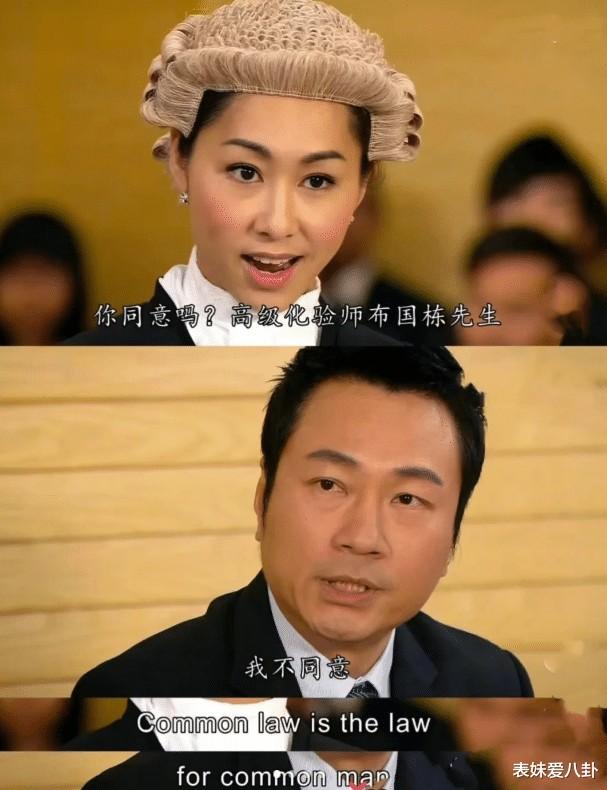 TVB剧集里的女律师风采：法庭上的巾帼不让须眉！盘点TVB剧集中最会打官司的女律师，你觉得谁的胜算更加大？（香港电视剧女律师）-第9张图片-九妖电影