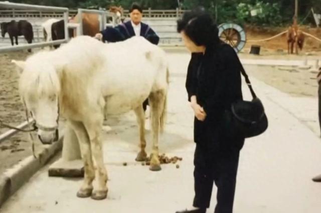 《西游记》拍完后，白马被当做摇钱树，瘦的不成样子，惨死山洞-第1张图片-九妖电影