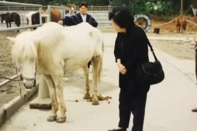 《西游记》拍完后，白马被当做摇钱树，瘦的不成样子，惨死山洞-第3张图片-九妖电影