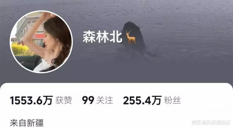 四婚四离！汪峰又撩上新妹子，疑似网红森林北，网友：这就是艺术-第7张图片-九妖电影