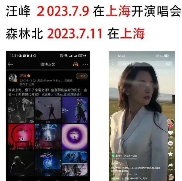 汪峰新恋情疑曝光！女方为离异网红，颜值不输章子怡-第12张图片-九妖电影