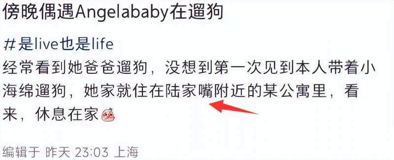 Angelababy上海街头遛狗，一身行头超10万元，家住20万一平豪宅（angelababy上海的家）-第7张图片-九妖电影