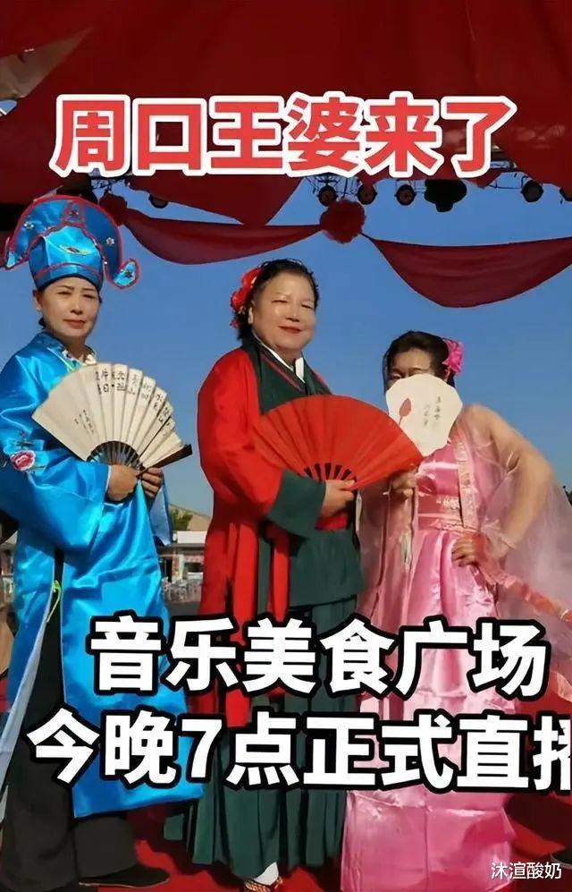 “王婆说媒”能替代非诚勿扰吗？（非诚勿扰唱王妃）-第3张图片-九妖电影