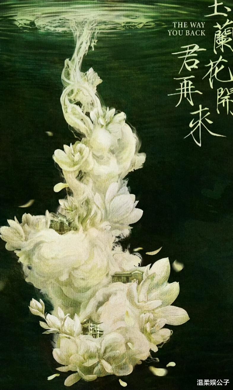 《繁花》收官30天，几位主演的差距已拉开，真红还是假红一目了然（繁花剧照）-第22张图片-九妖电影