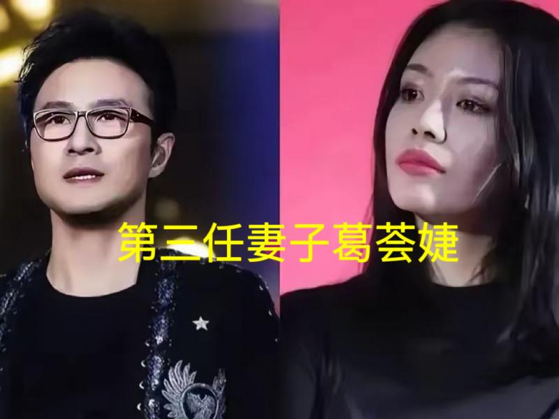 民政局欠汪峰一个VIP，四任妻子四个孩子，选妻标准专一都是大长腿-第4张图片-九妖电影