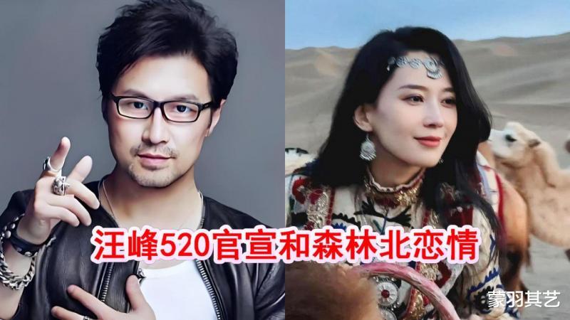 “五手渣男”汪峰：四个孩子三个妈，森林北何苦要选他？-第24张图片-九妖电影