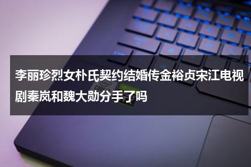 李丽珍烈女朴氏契约结婚传金裕贞宋江电视剧秦岚和魏大勋分手了吗-第1张图片-九妖电影