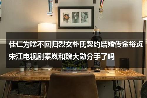 佳仁为啥不回归烈女朴氏契约结婚传金裕贞宋江电视剧秦岚和魏大勋分手了吗（佳仁是什么电视剧）-第1张图片-九妖电影