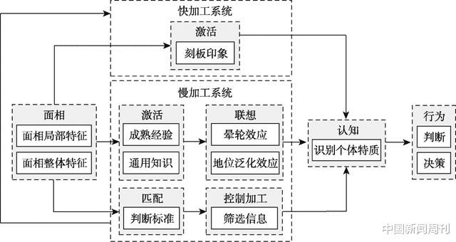 为什么说“龙系长相”是天生演员？（什么是龙系少女）-第12张图片-九妖电影