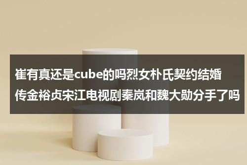 崔有真还是cube的吗烈女朴氏契约结婚传金裕贞宋江电视剧秦岚和魏大勋分手了吗（崔有珍夫人是什么电影）-第1张图片-九妖电影