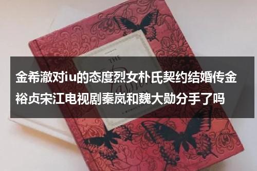 金希澈对iu的态度烈女朴氏契约结婚传金裕贞宋江电视剧秦岚和魏大勋分手了吗（朴秀珍金希澈）-第1张图片-九妖电影