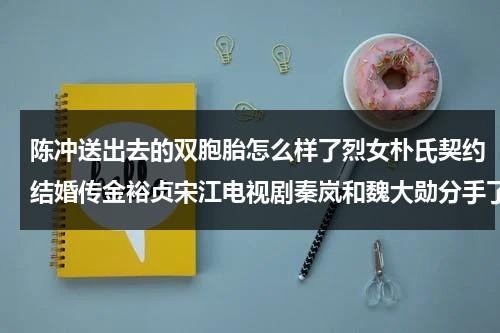 陈冲送出去的双胞胎怎么样了烈女朴氏契约结婚传金裕贞宋江电视剧秦岚和魏大勋分手了吗（陈冲把双胞胎送人）-第1张图片-九妖电影