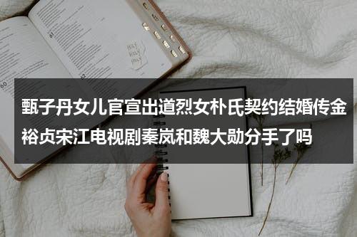 甄子丹女儿官宣出道烈女朴氏契约结婚传金裕贞宋江电视剧秦岚和魏大勋分手了吗（甄子丹和哪位韩国女演员搭档过）-第1张图片-九妖电影