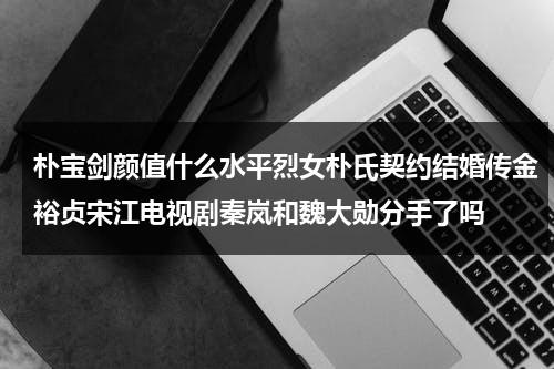 朴宝剑颜值什么水平烈女朴氏契约结婚传金裕贞宋江电视剧秦岚和魏大勋分手了吗（朴宝剑 身世）-第1张图片-九妖电影