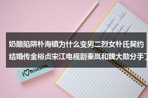 奶酪陷阱朴海镇为什么变男二烈女朴氏契约结婚传金裕贞宋江电视剧秦岚和魏大勋分手了吗（奶酪陷阱男主和女主在一起了吗）-第1张图片-九妖电影