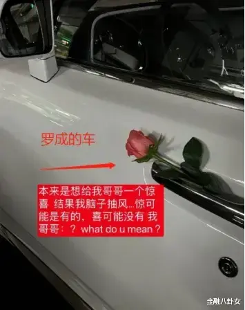 住豪宅开豪车，蹭富二代流量捞金的女网红，把自己蹭到牢里了！（富豪开的车有哪些）-第7张图片-九妖电影